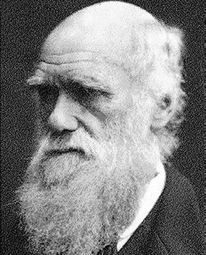 Charles-Darwin.jpg